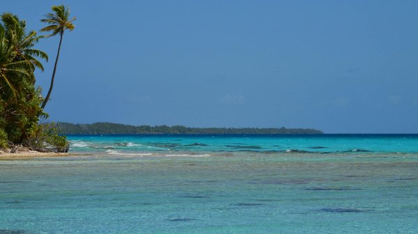 Comment organiser un séjour en Provence avec des ateliers de sculpture sur bois et des visites de musées?