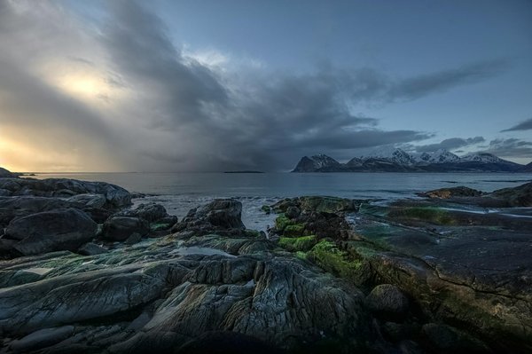 Comment assister à des cérémonies traditionnelles de danse de guerre en Nouvelle-Zélande?